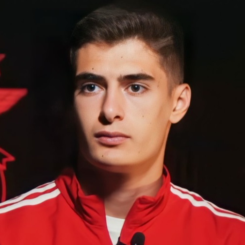 安东尼奥·席尔瓦 - 葡萄牙后卫