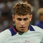 费尔明·洛佩兹作物