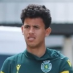 马修斯·努内斯作物